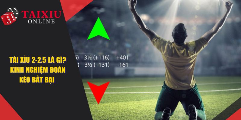 bia web tai xiu 2 2 5 1398 Tài Xỉu 2-2.5 Là Gì? Kinh Nghiệm Đoán Kèo Tài Xỉu Bất Bại