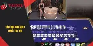 Tác Hại Của Việc Chơi Tài Xỉu Quá Độ - Bẫy Ảo Nên Cần Tránh