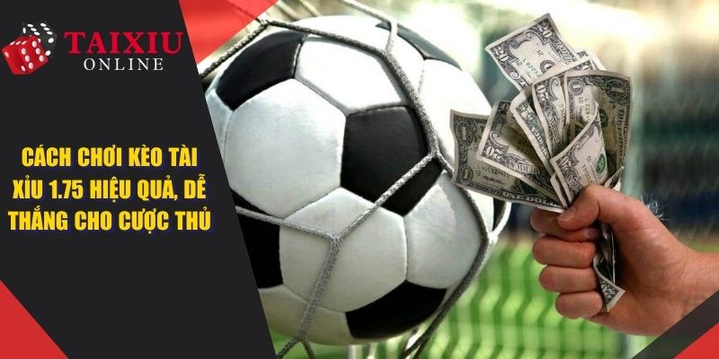 tai xiu 175 dai dien 1398 Cách Chơi Kèo Tài Xỉu 1.75 Hiệu Quả, Dễ Thắng Cho Cược Thủ