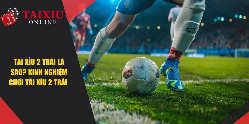 tai xiu 2 trai la sao 1398 Tài Xỉu 2 Trái Là Sao? Bỏ Túi Mẹo Chơi Luôn Chiến Thắng