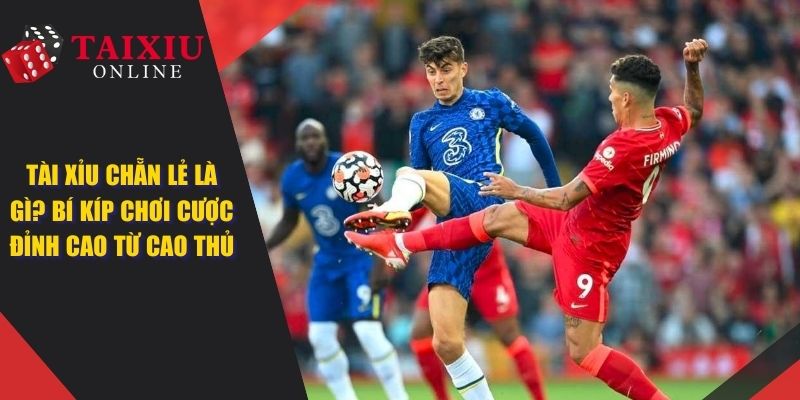 tai xiu chan le anh dai dien 1386 Tài Xỉu Chẵn Lẻ Là Gì? Bí Kíp Chơi Cược Đỉnh Cao Từ Cao Thủ